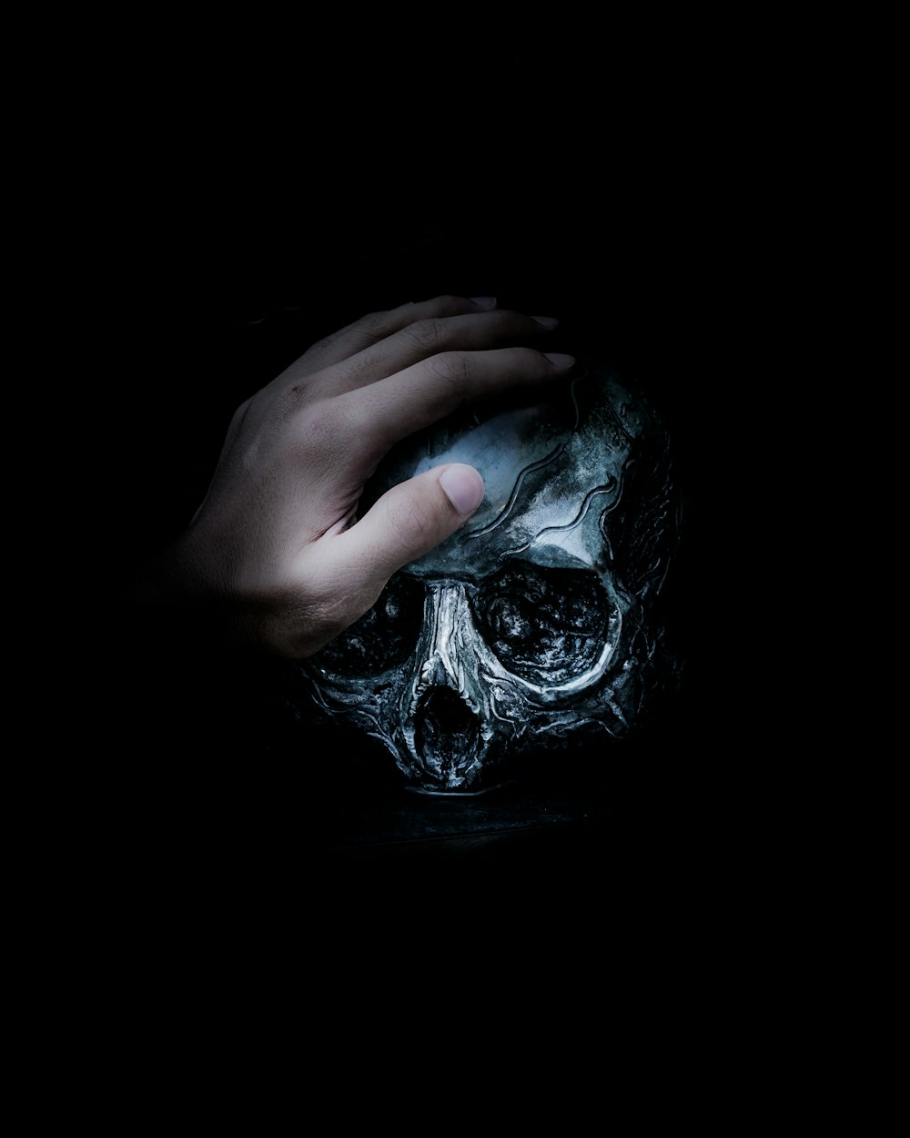 person holding gray skull illustration