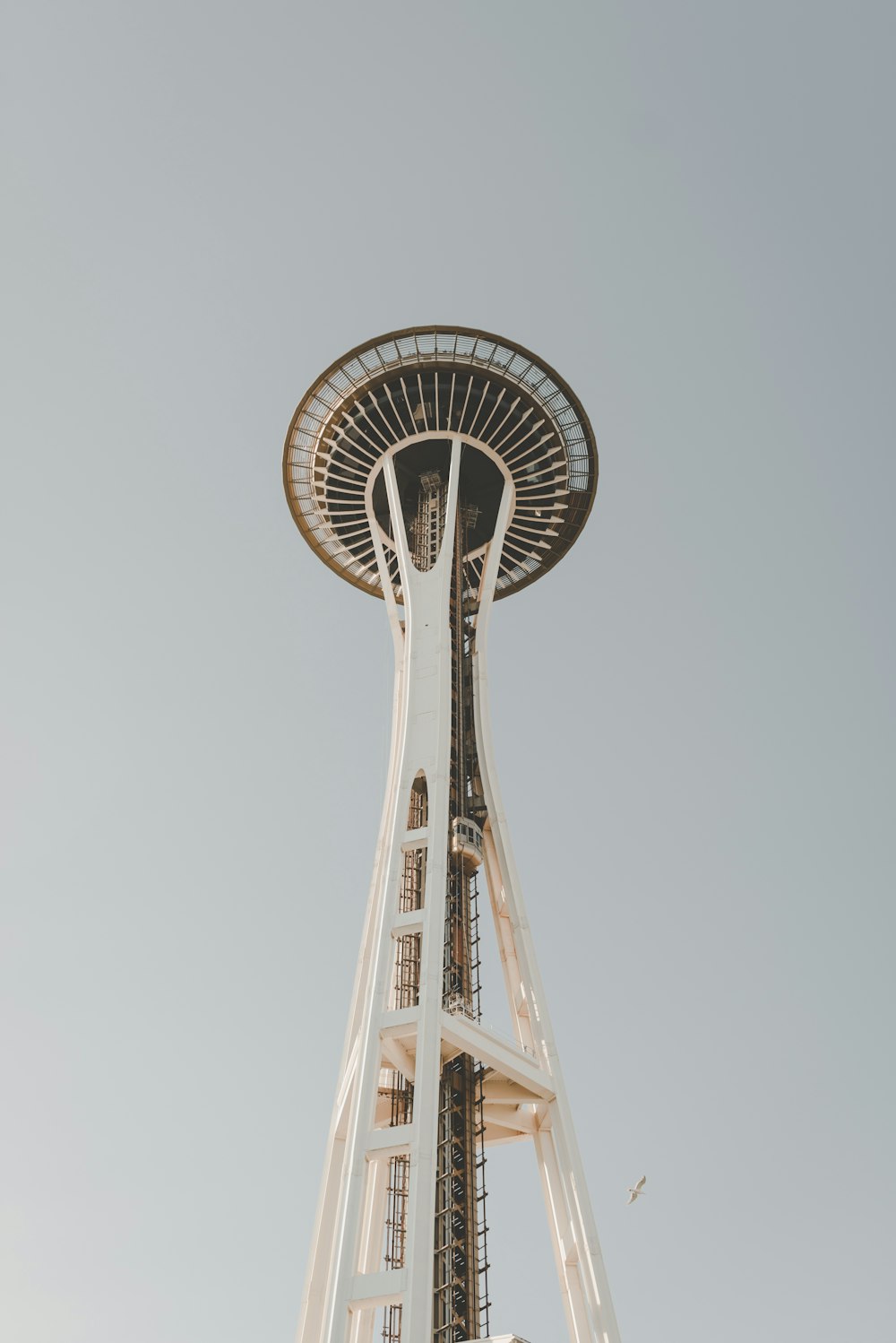 white Space Needle tower