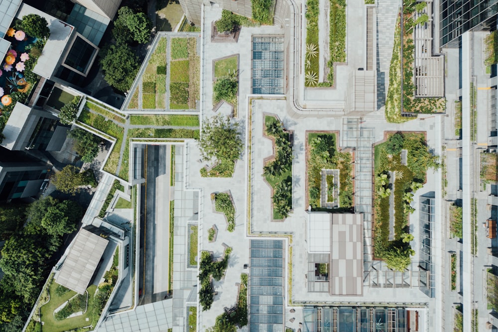 green leaf plant in aerial photography