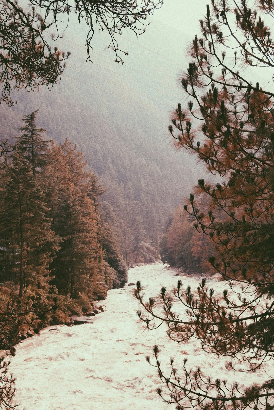 River photo spot Kasol Manali, Himachal Pradesh