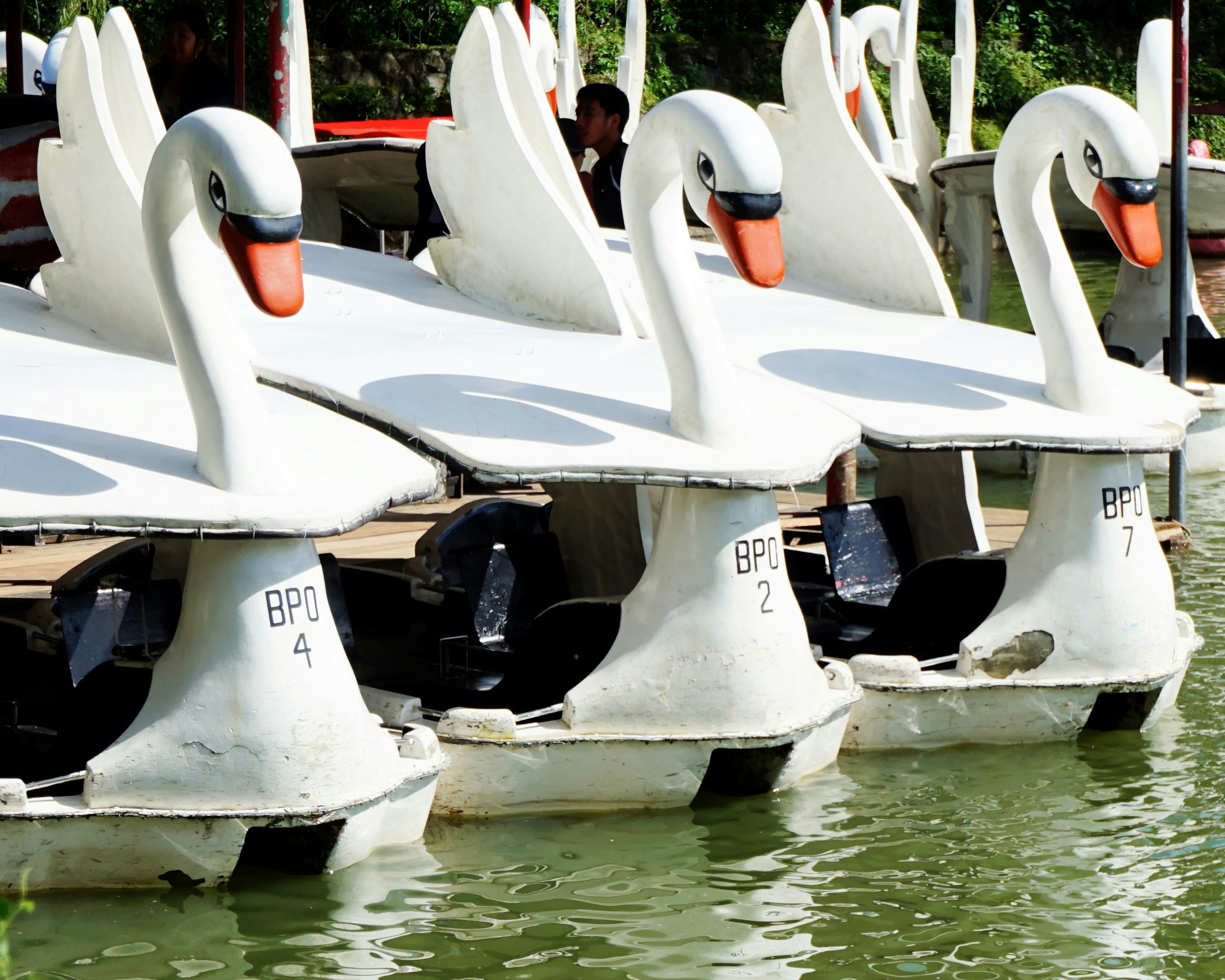 close-up photo of black swam boat on body of water, I’ve been here in Baguio City, Philippines so many times prior to 2011.  But after seven years, so many things have changed from the way they used to be.  This time and all by myself, I was going to the Hangar Market in downtown Baguio City when I decided to walk through Burnham Park.  Got disoriented going around and I took a break by sitting in a bench overlooking a pond.  The swan rides captivated me and I decided to take some pictures.  I remember the rides from way back and that brought me some memories when me and some friends were going through the park to the market.
