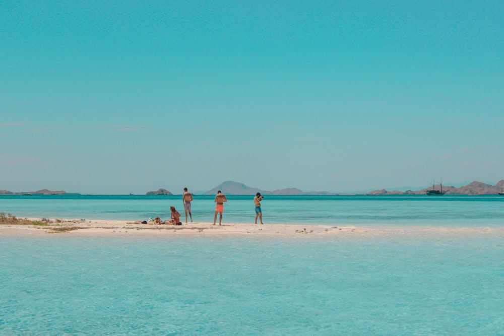 four persons standing on seashore during daytime