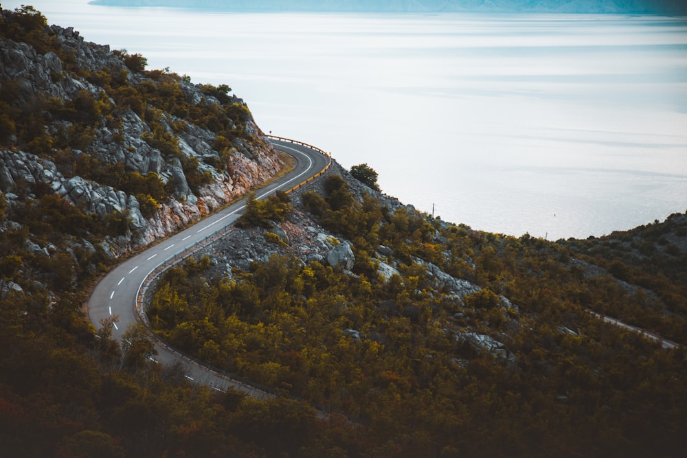 aerial photography of road