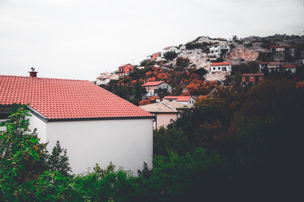 aerial photography of houses on mountain at daytime