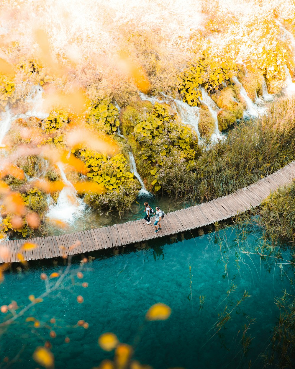 two person walking on boardwalk over body of water