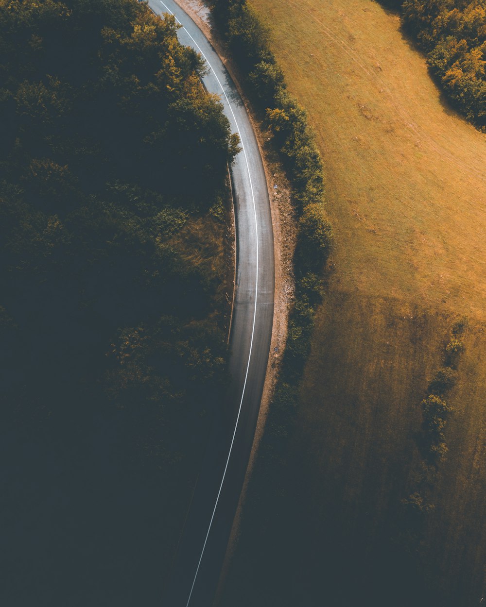 aerial photo of gray road surrounded by trees during daytime