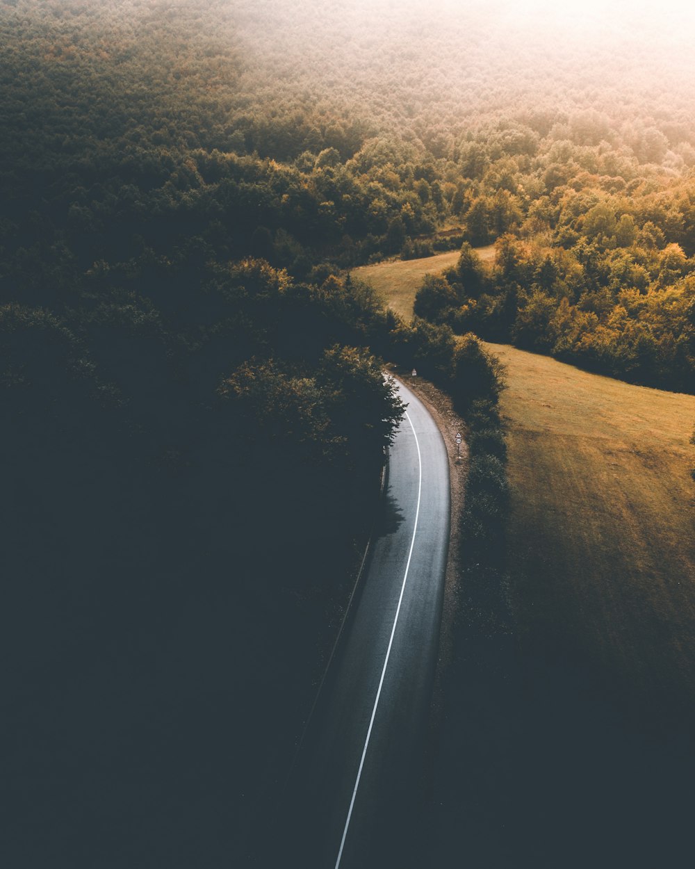 aerial photography of pathway surrounded by forest