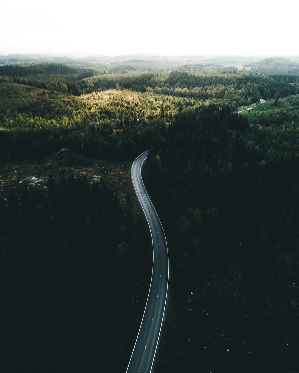 aerial photography of road