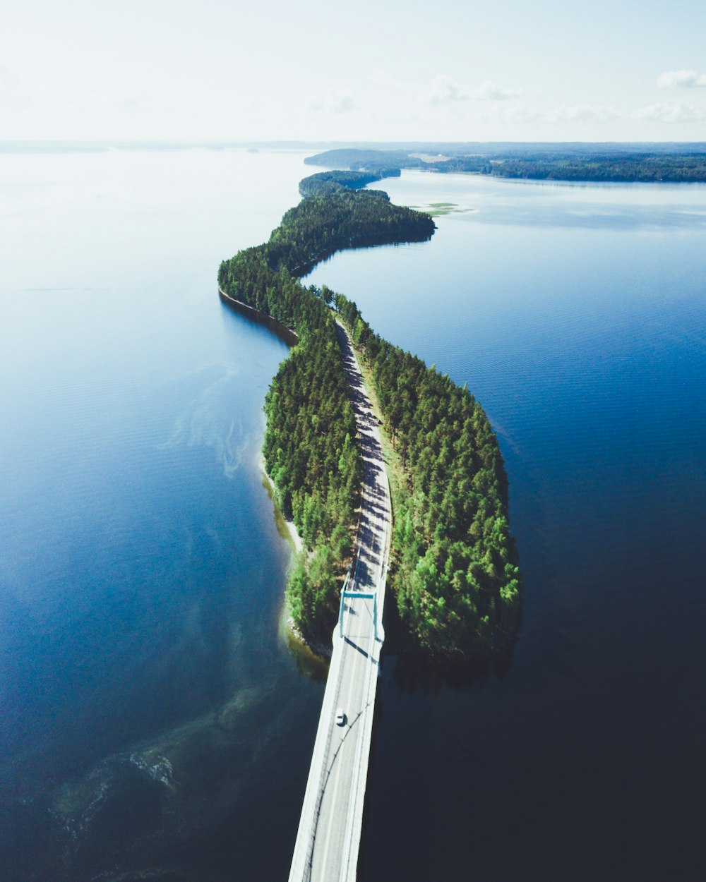 Fotografía a vista de pájaro de una carretera asfaltada entre pinos