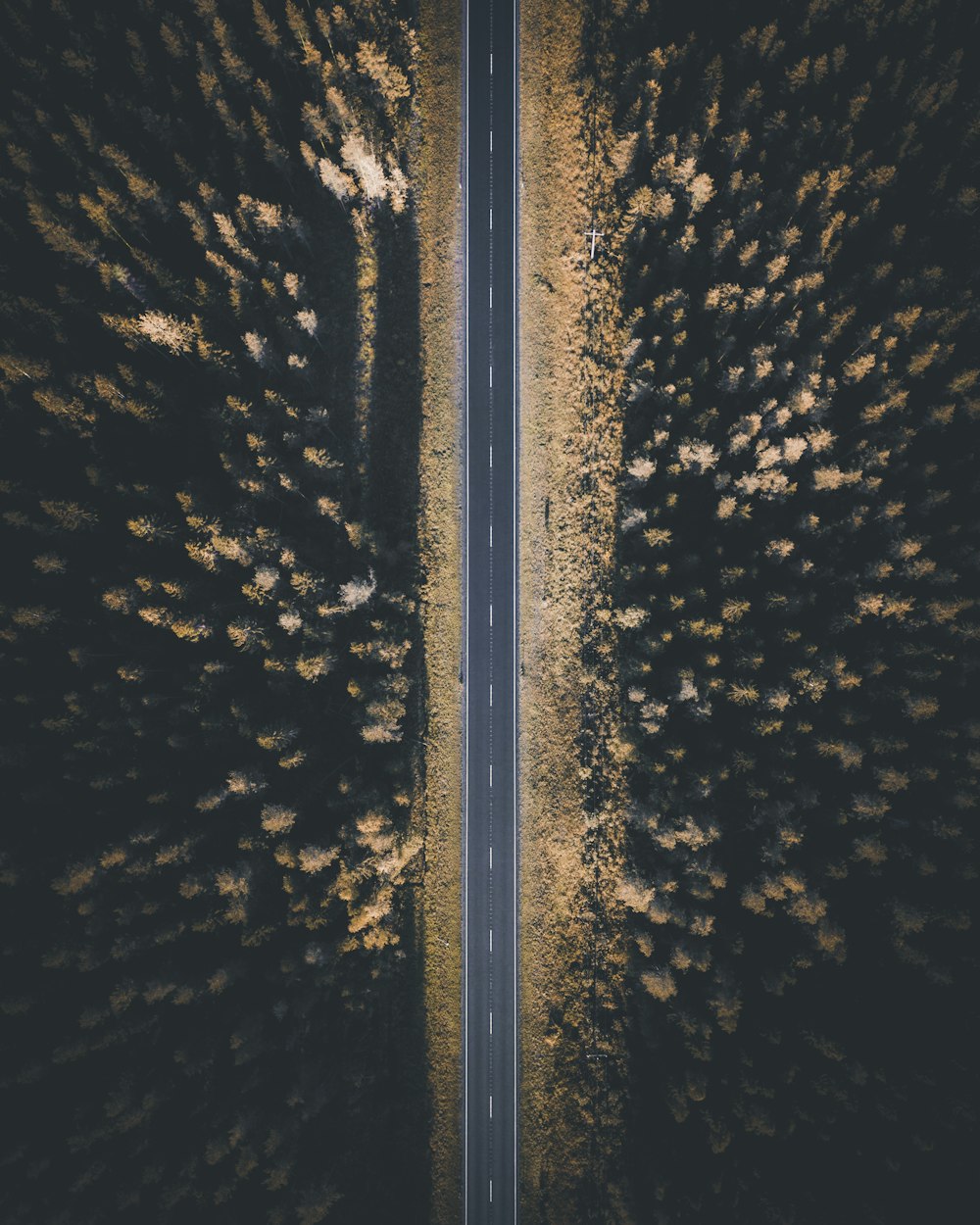 Vista aérea de la carretera