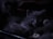 A group of dark-furred kittens huddled together in a dimly lit environment. The central focus is on one kitten in the foreground with strikingly bright eyes gazing forward. The overall setting is shadowy, adding a mysterious and cozy atmosphere.