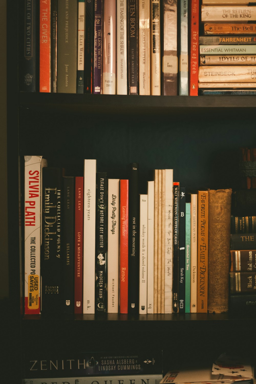 person taking photo of book lot