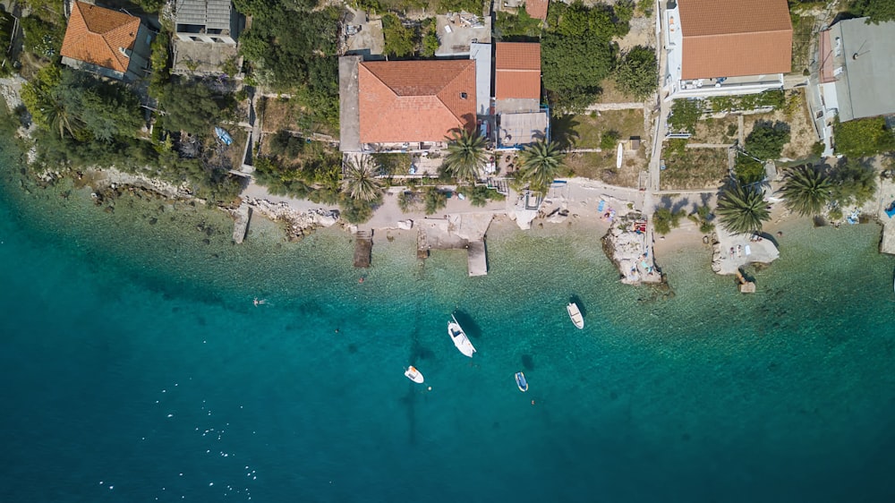 aerial photography of boats on water beside houses