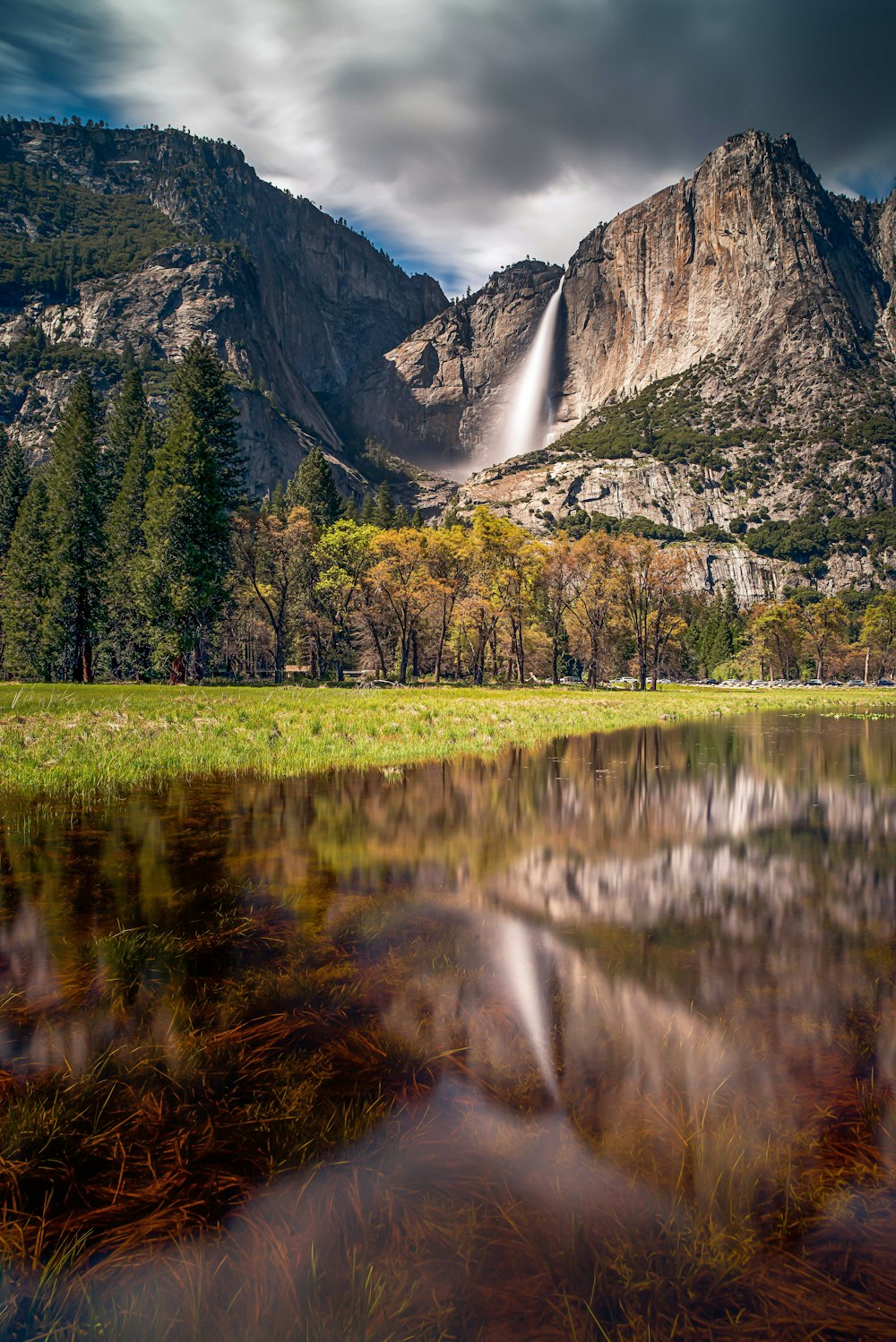 green leaf trees near calm body of water and mountain at daytime