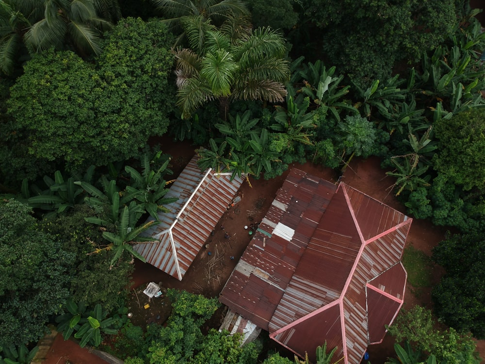 aerial photo of house surrounded with trees