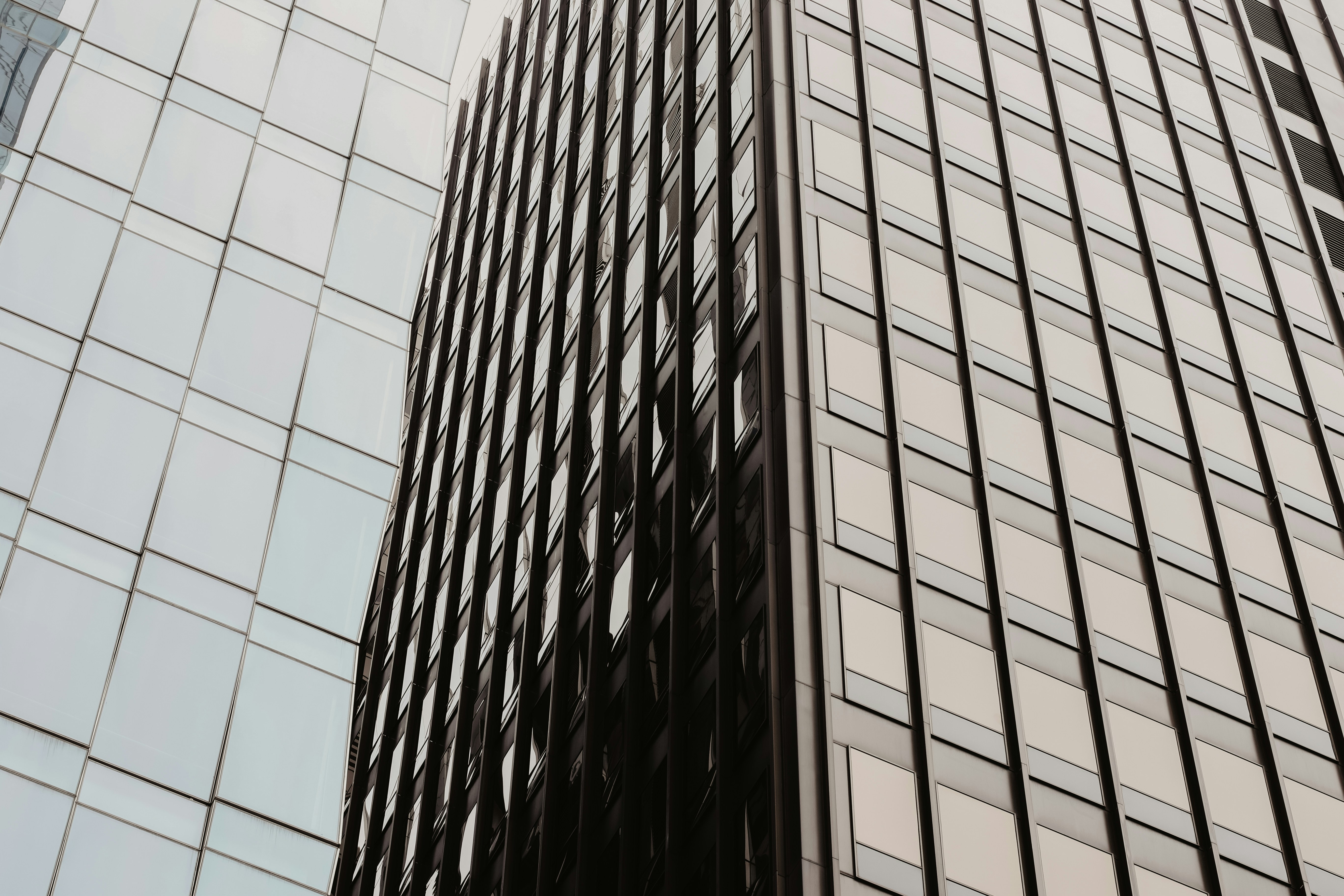 Photo by crainecreative