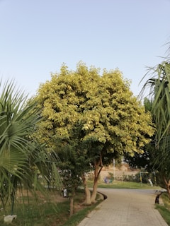 A close-up of an air quality monitoring device placed in a green park setting, surrounded by trees and plants.