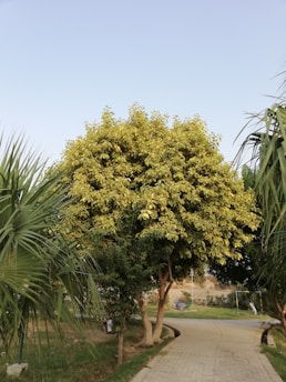 A close-up of an air quality monitoring device placed in a green park setting, surrounded by trees and plants.