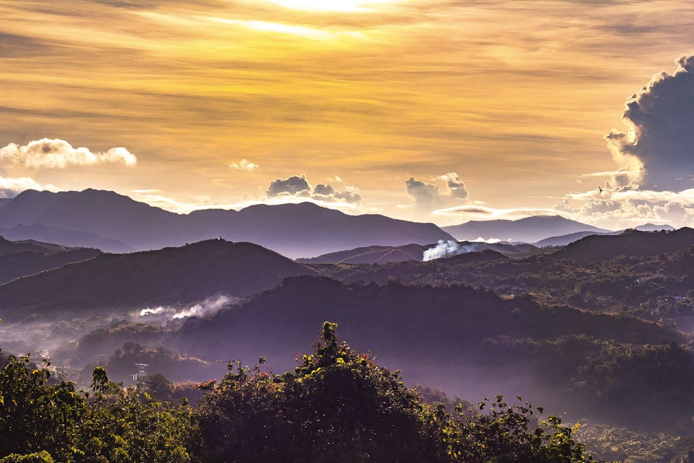 montanha e árvores