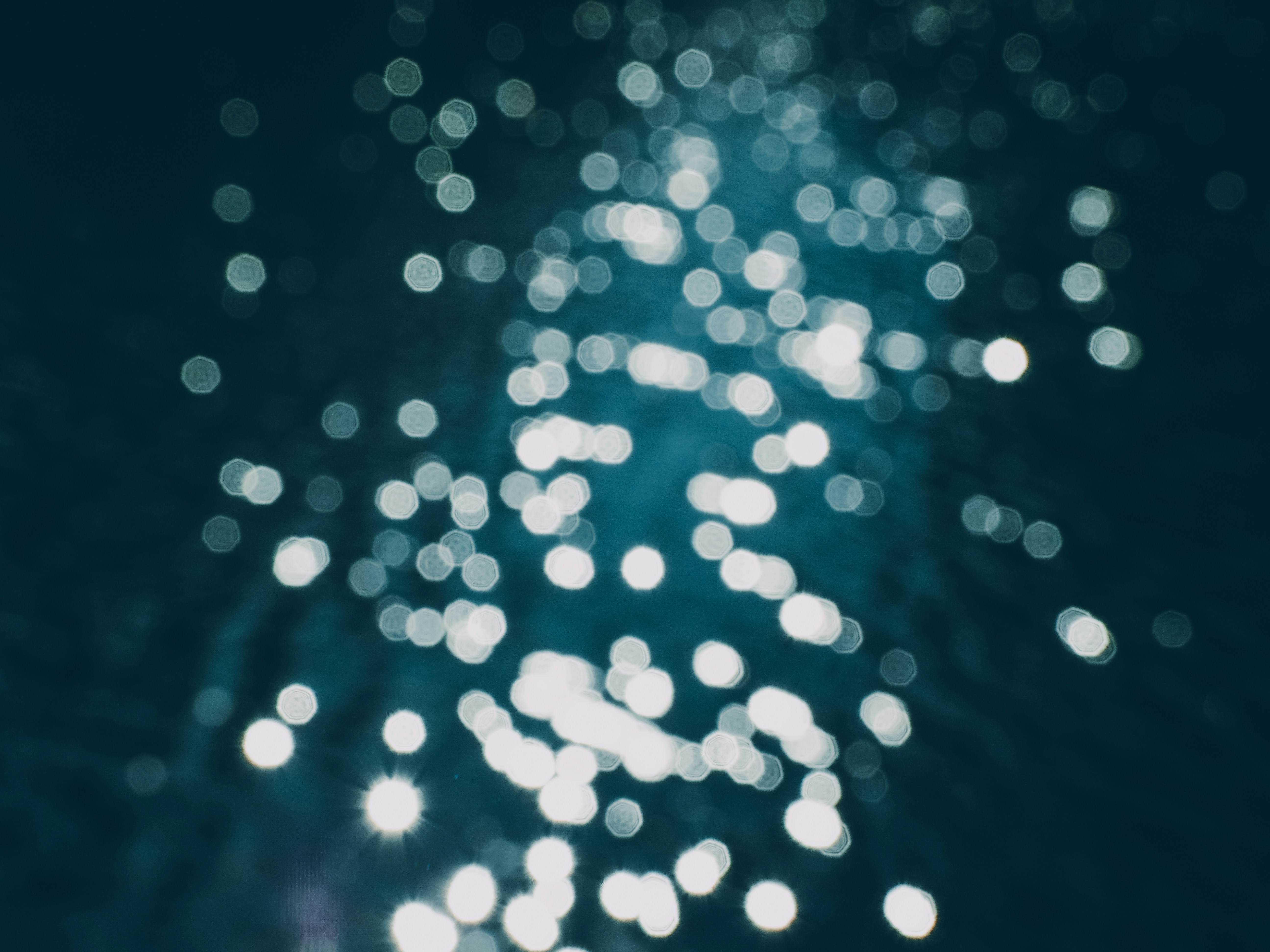 Photo by photohunter