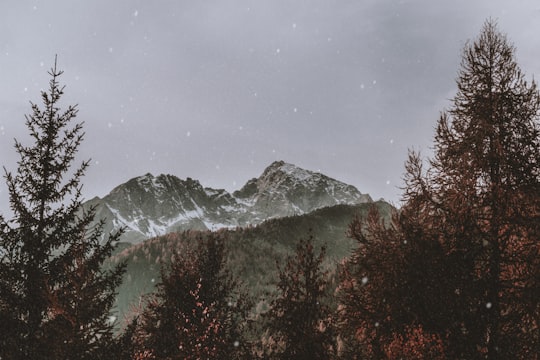 landscape photography of snowy mountain in Zillertal Alps Italy