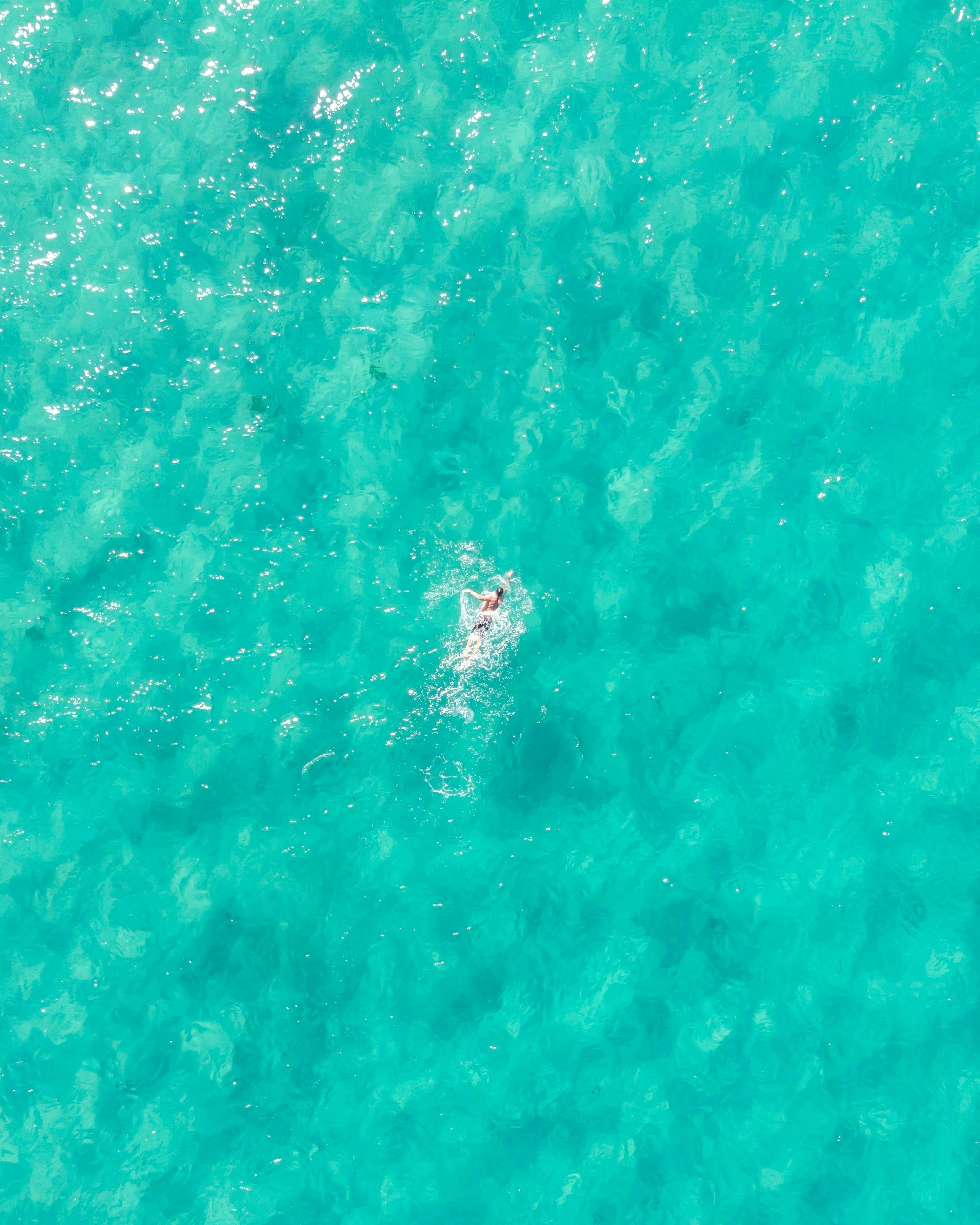 an aerial view of a person swimming in the ocean