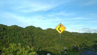 A scenic road with clear signage, symbolizing safe driving.