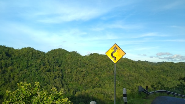 A scenic road with clear signage, symbolizing safe driving.