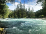 A flowing mountain river with restored vegetation along its banks under a blue sky