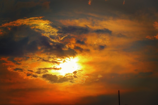 A vibrant album cover for 'New Morning Light' featuring sunrise colors.