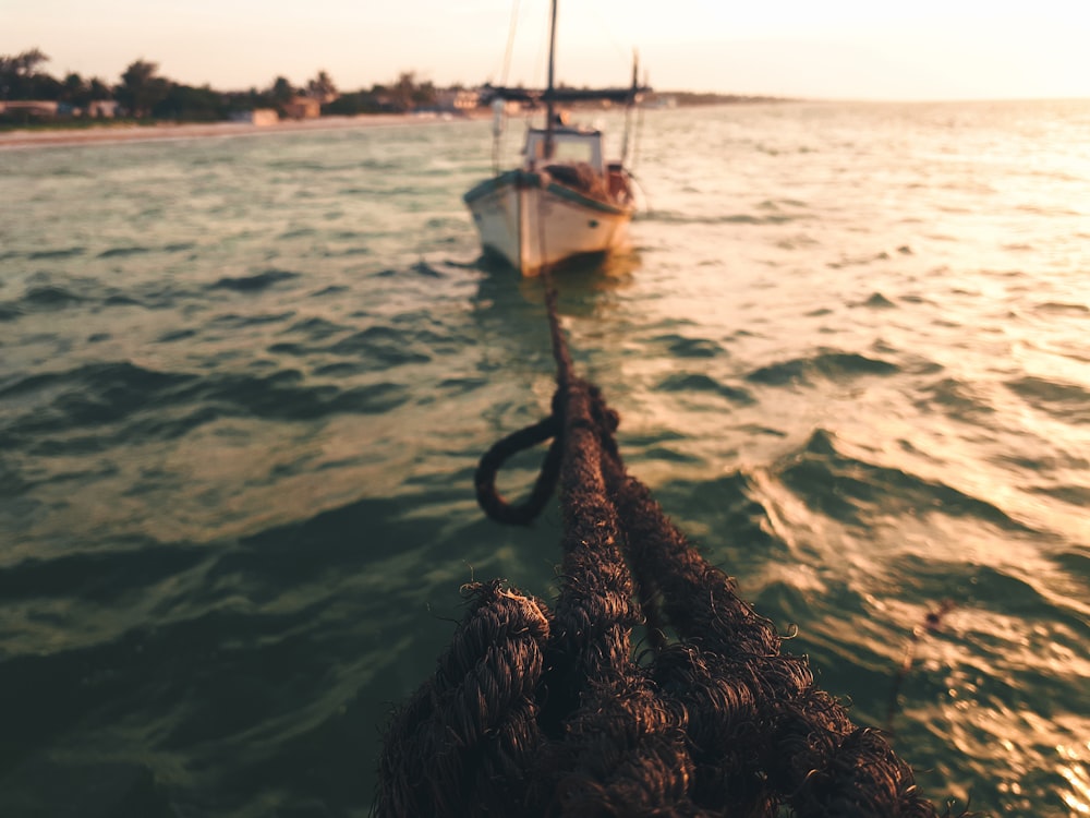 white boat