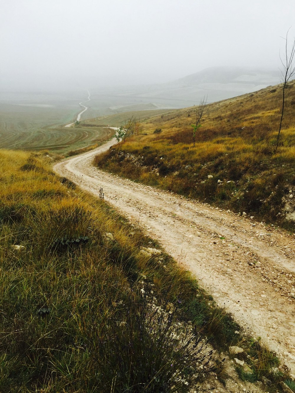 pathway along mountain