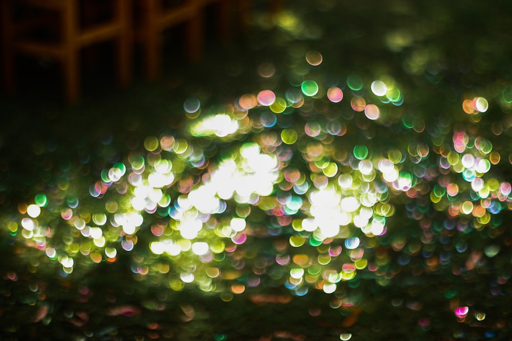 bokeh photography of lights