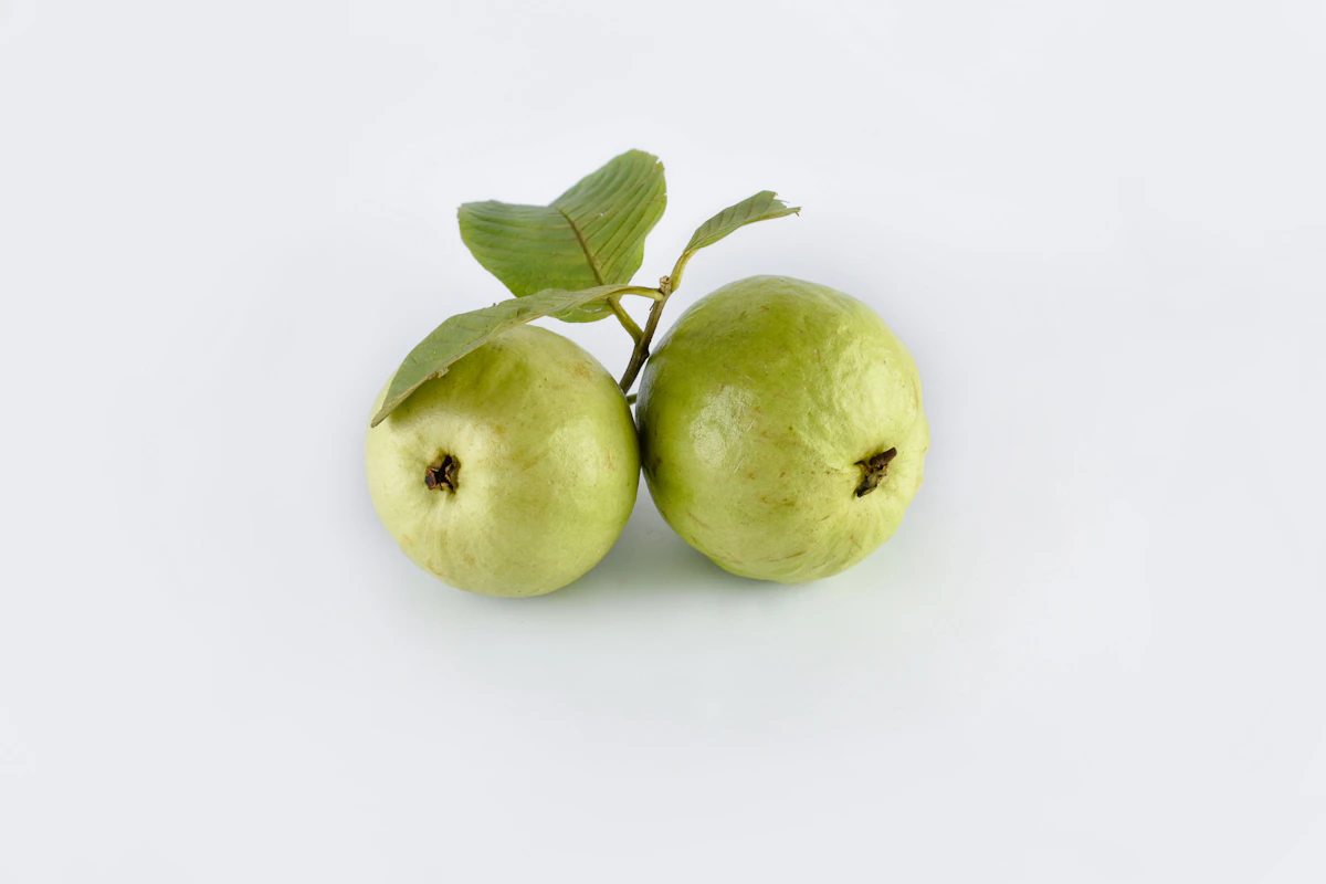 Guava fruit