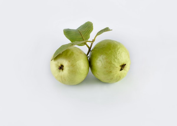 two guava fruits with white background