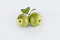 Guava