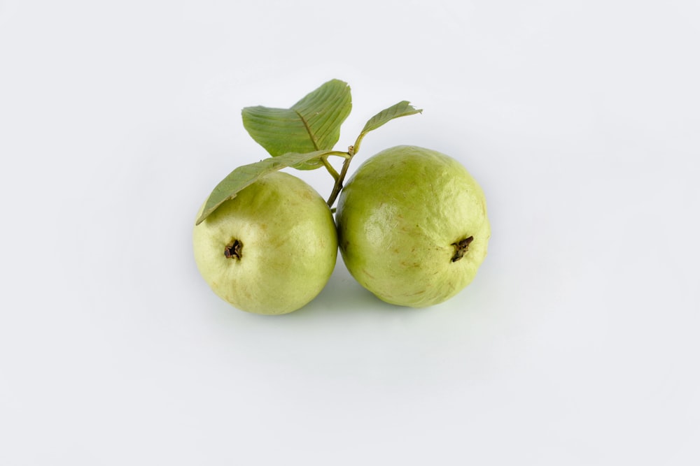 two guava fruits with white background