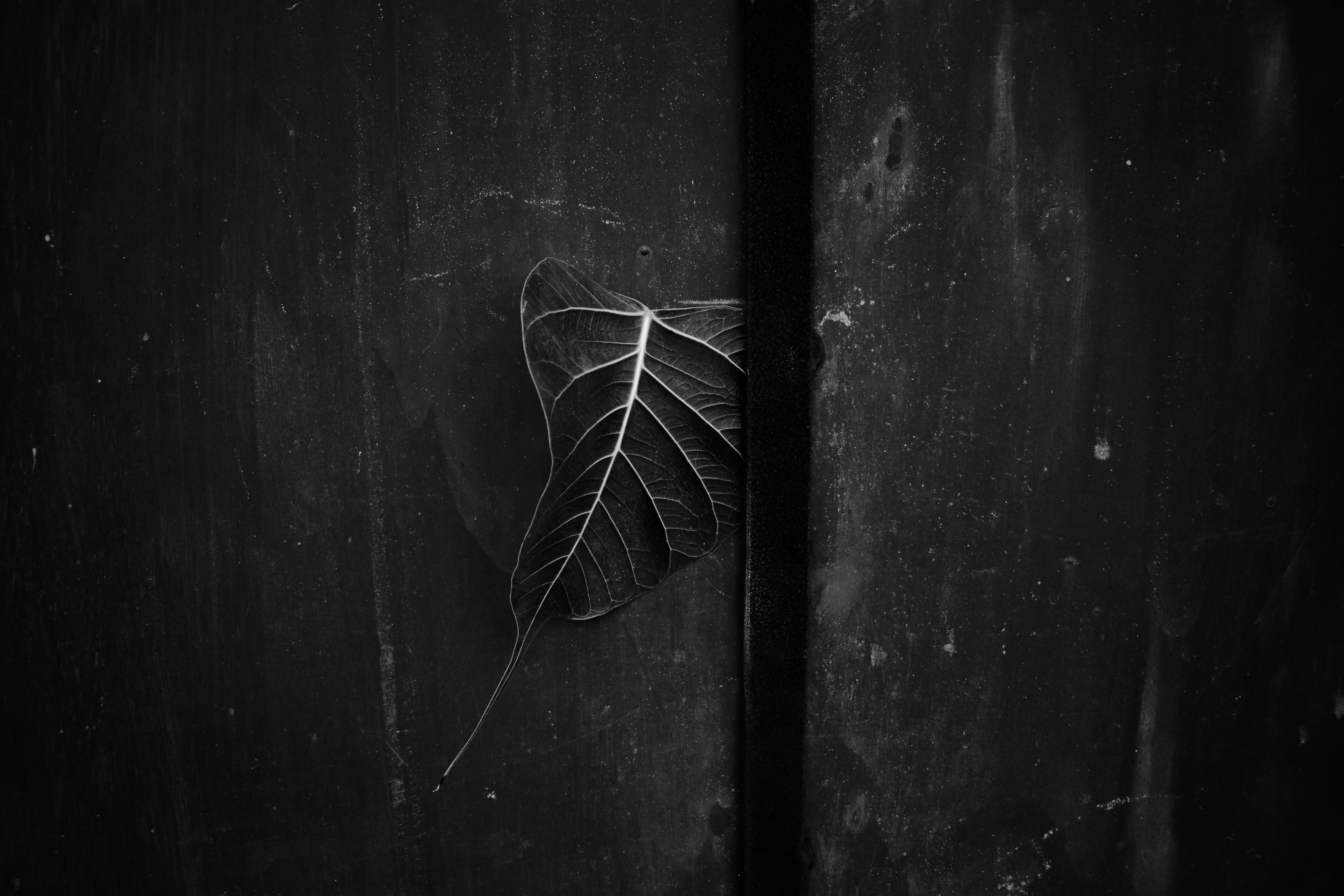 Black Leather Black Leather Texture - Free High Resolution Photo - Dimensions: 3