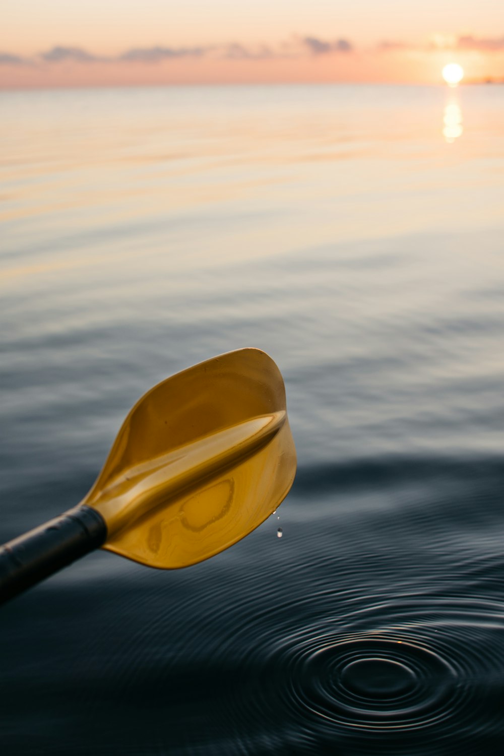 ゴールデンアワーの海面に浮かぶ金色のボートオール