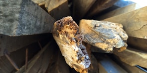 Close-up of rich, dry hardwood pieces ready for burning.