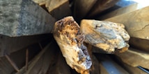 A close-up view of stacked pieces of firewood, showcasing rough textures and earthy colors. The wood appears aged and dry, with visible grain patterns and cracked surfaces.