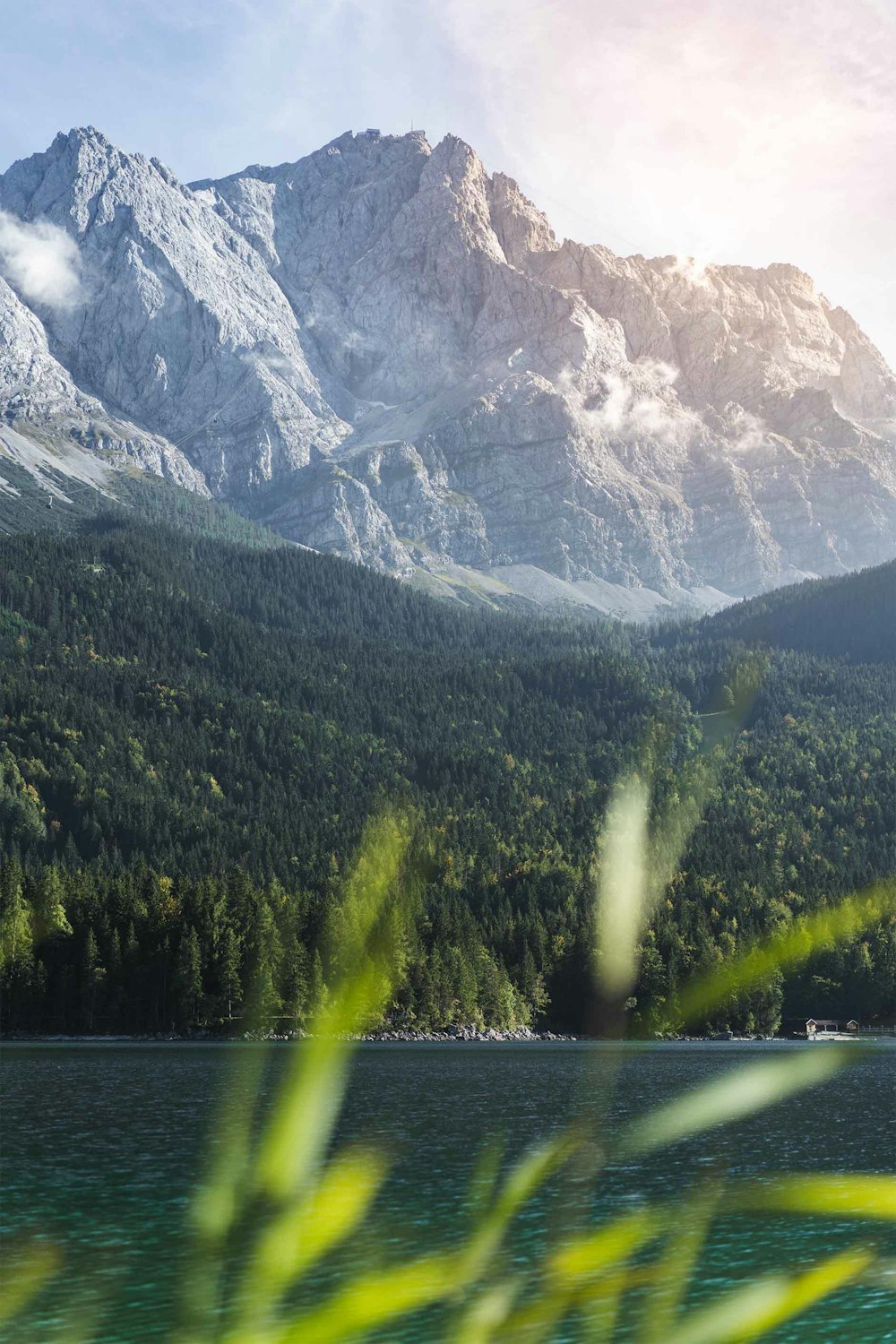 view of mountains from grass field