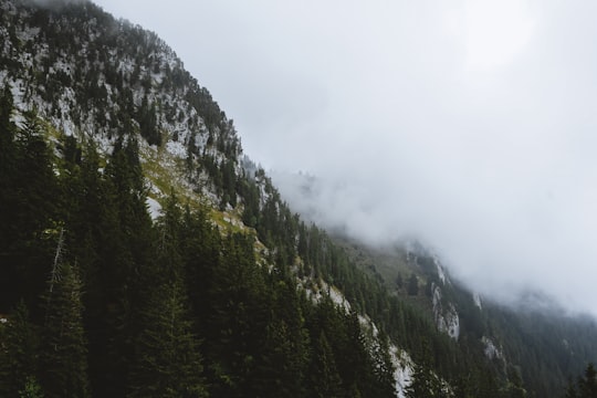 aerial photo of green trees on mountain with fog at daytime in Mount Pilatus Switzerland