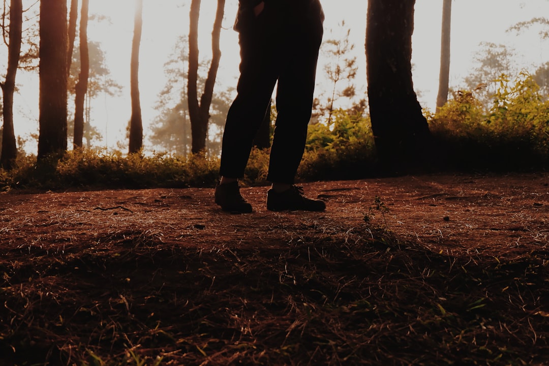 Forest photo spot Gunung Putri Garut