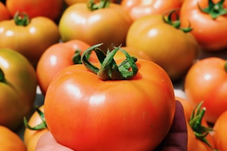 A hand selecting ripe tomatoes from a crate filled with fresh produce.