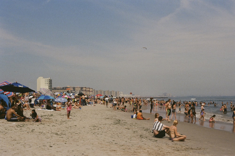 people on beach at daytime