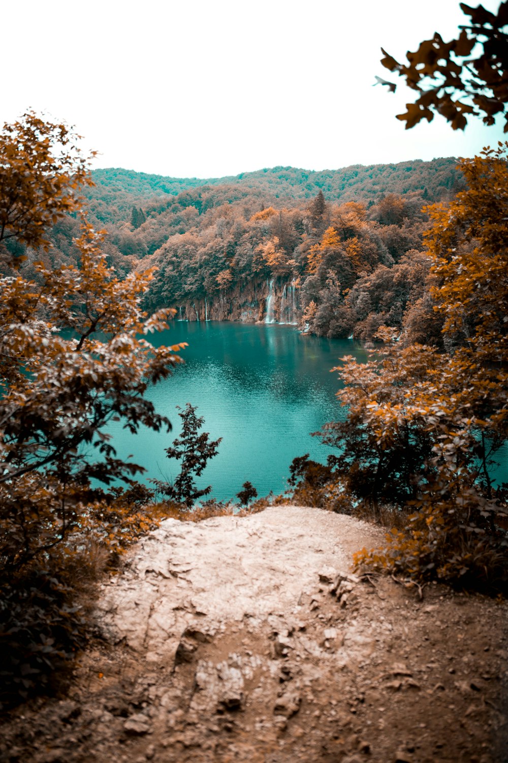 水辺の岩の崖