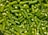 A close-up view of numerous chopped green beans. The fresh beans are uniformly cut into short segments, displaying a vibrant green color and a glossy texture that suggests they are freshly washed.