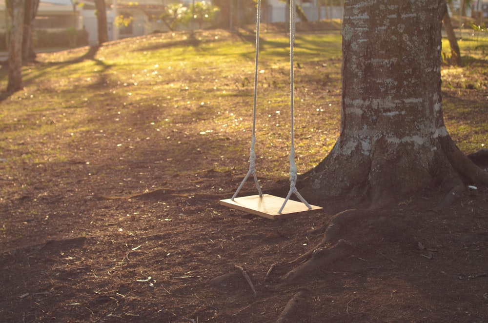 brown wooden swing under tree at daytime