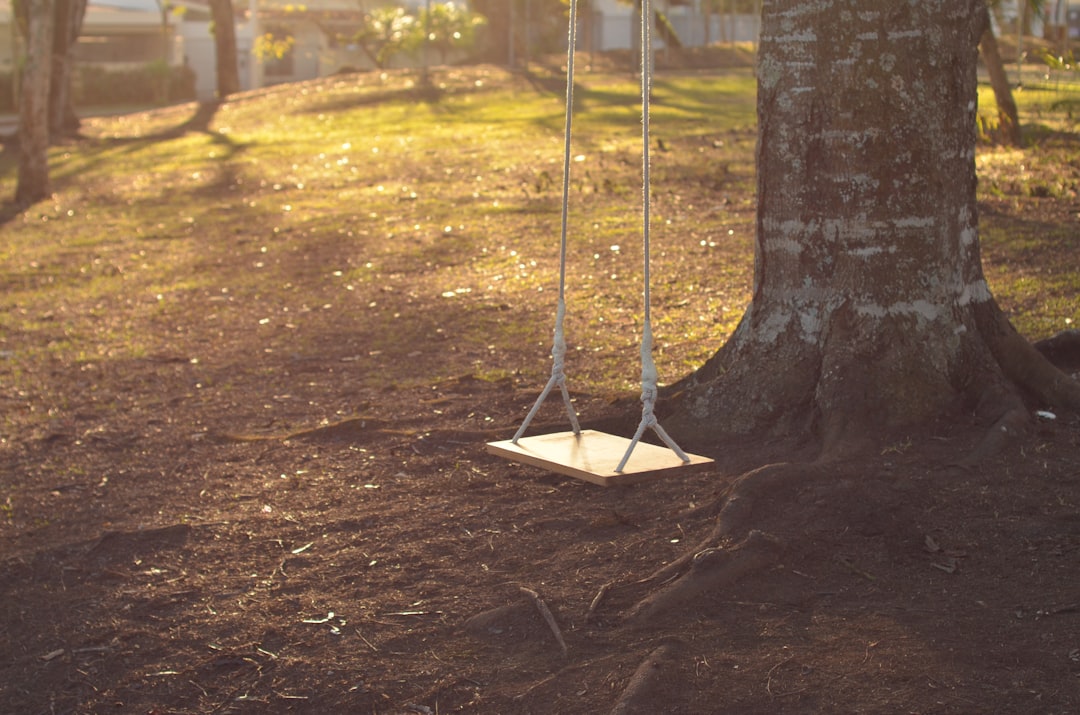 brown wooden swing under tree at daytime,
